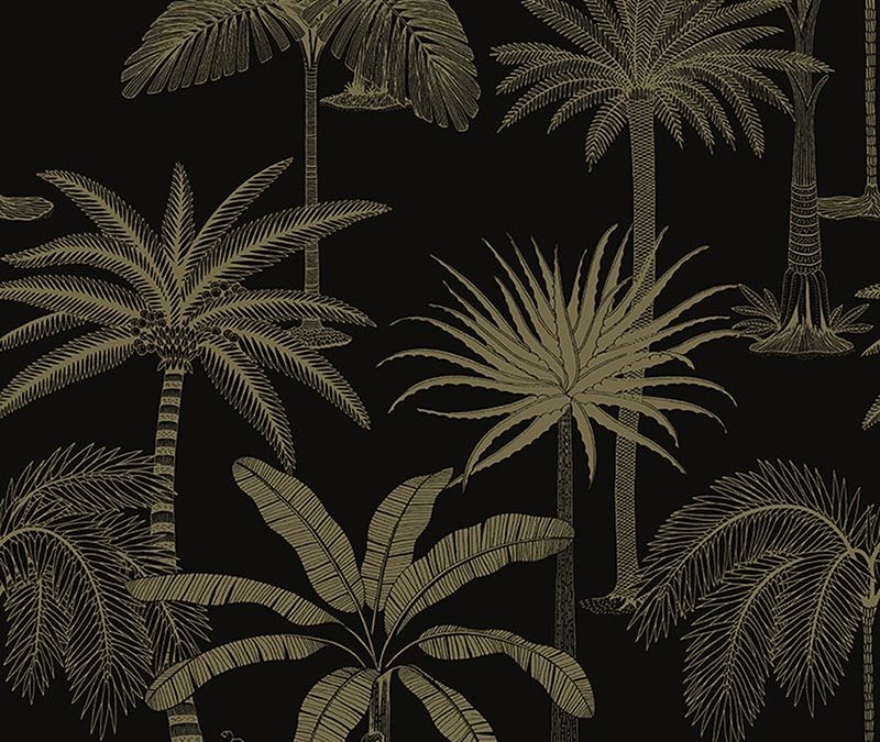Palm Black